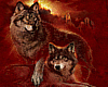 (RD)Sunset Wolf M tee
