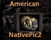 [BD]AmericanNativePic2