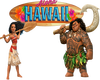 Aloha Hawaii 3D Caption