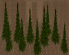 [CI]Country PineTrees 10