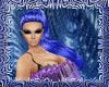 *Yo* Lily blue