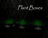 AV Plant Boxes