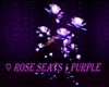 ♡ Rose Seats | Purple