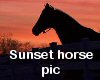 (MR) Sunset Horse