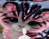 Cute kitty background
