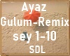 Ayaz Erdogan Gulum Remix