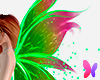 Green pink Fairy wings