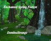 Enchanted Spring Forest