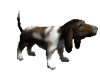 Animated Basset hound