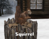 *Squirrel