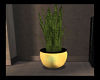 [MH]Bowstring Plant1
