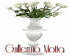 GM's White Roses Vase