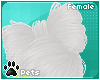 [Pets] Vixen | hair bow