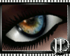 (JD)Leason's Eyes