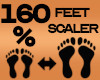 Feet Scaler 160%