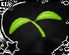 . head sprout