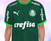 Palmeiras Shirt 2024