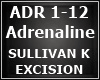 SULLIVAN K EXCISION-ADRE