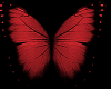 NS:Red Butterfly Anim