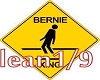 bernie lean 1