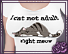 Cat not adult (W)