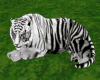 White Tiger Pet+Sound