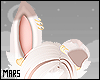 M* Dais Ears -F/M-