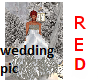 RedSoul Wedding Pic,10yr