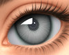 Dream Gray Eyes