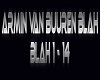 Armin Van Buuren Blah