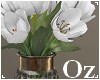[Oz] - Tulips white