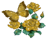 gold rose with butterfly