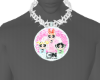 PPG Custom