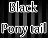 Black Night Pony tail