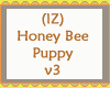 🐝 Honey Bee  Puppy v3