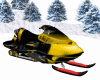 llzM.. Ski Mobile