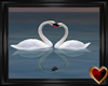 SoulMate Swans