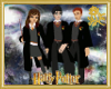 Harry Potter Picture
