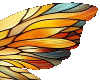 orange wings