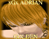 xGx ADRIAN-GOLDEN