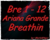 MH~A. Grande-Breathin