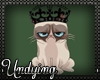 [U] Grumpy Cat
