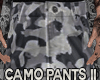 Jm Camo Pants II