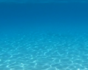 background sea
