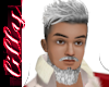Sexy Santa Beard