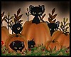 Black Cats & Pumpkin