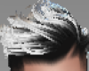 [EH] WHITE BLOND HAIR