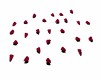 RED ROSE Petals