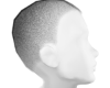 Buzz Cut