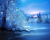 WINTER CLUB